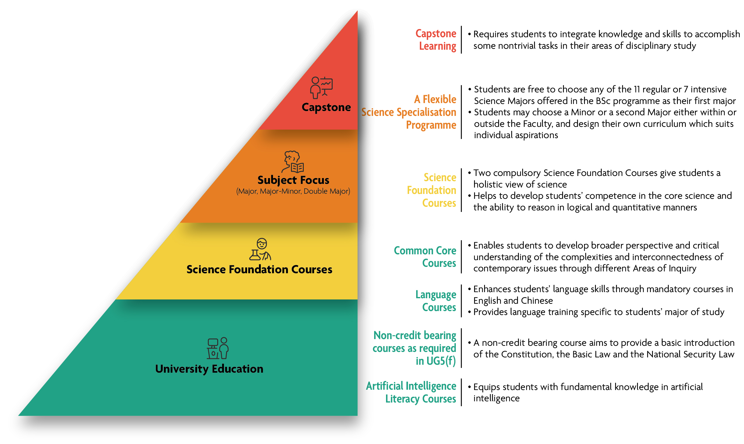 Curriculum structure of the BSc Degree